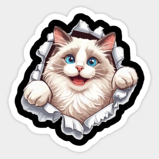 Funny Cut Out Cat Selfie Sticker